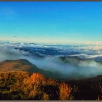 Mt. Pulag (the sea of clouds)